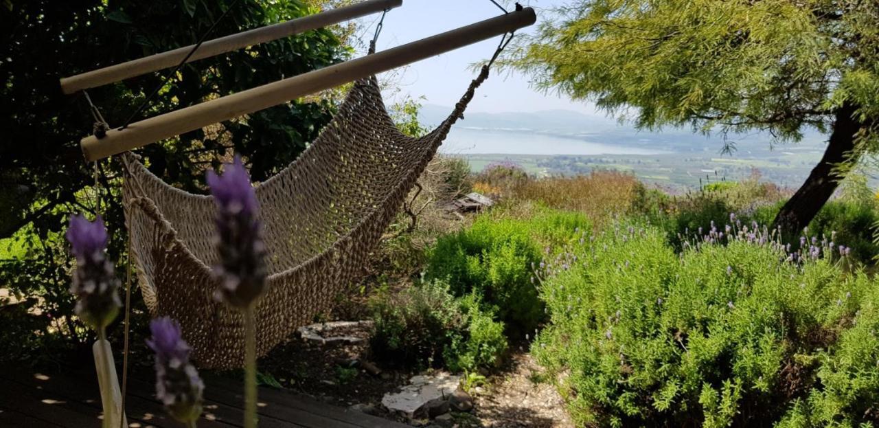 Green Island Ma'ale Gamla Luaran gambar